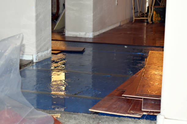 Professional Water Damage Restoration technician working in Scandia, MN